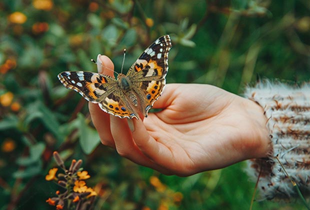 Rouria's health blog